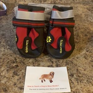 Dog boots never worn